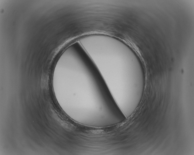 X0000086320108200703300915