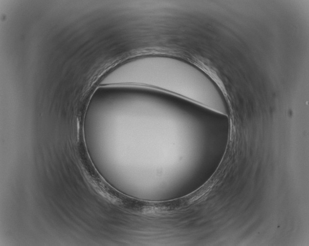 X0000086320109200703300915