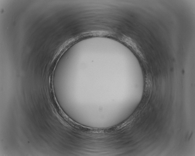 X0000086320110200703300915