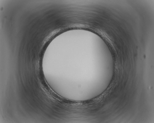 X0000086320112200703300915