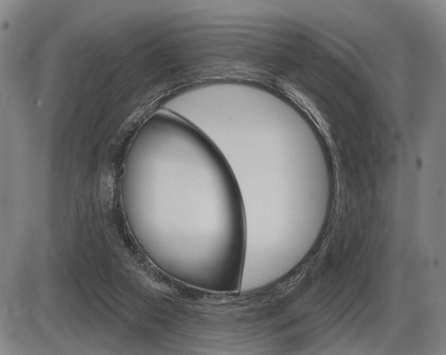 X0000086320113200703300915