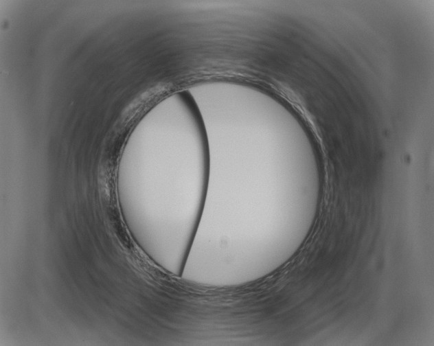 X0000086320114200703300915