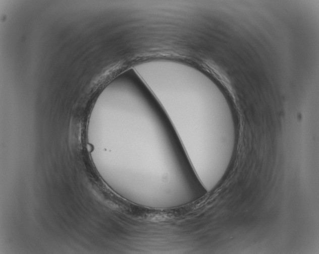 X0000086320115200703300915
