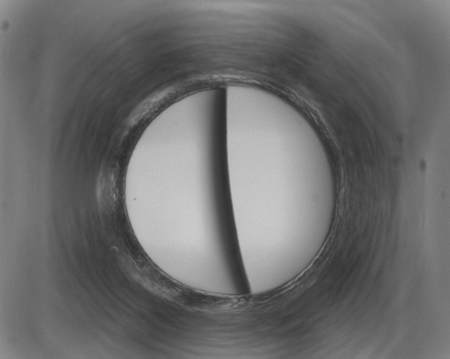 X0000086320116200703300915