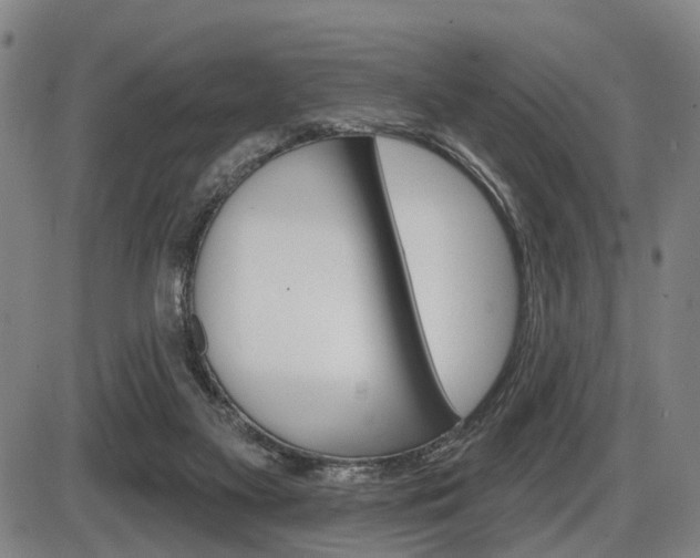 X0000086320117200703300915