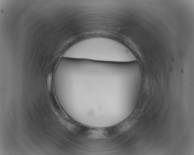 X0000086320118200703300915