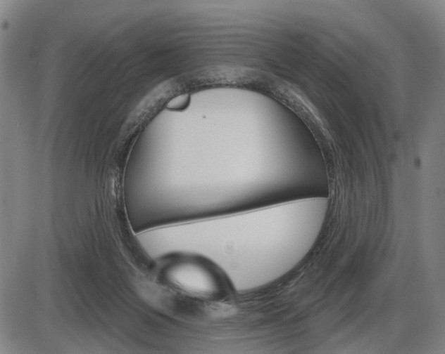 X0000086320119200703300915