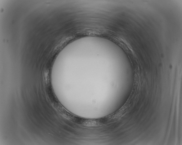X0000086320123200703300915