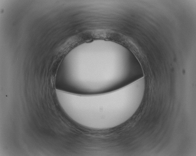 X0000086320125200703300915