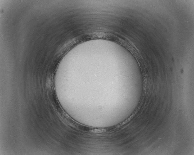 X0000086320126200703300915