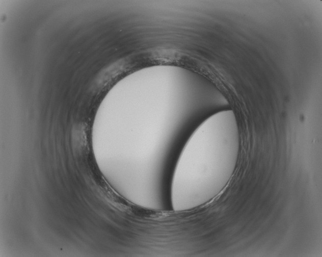 X0000086320128200703300915