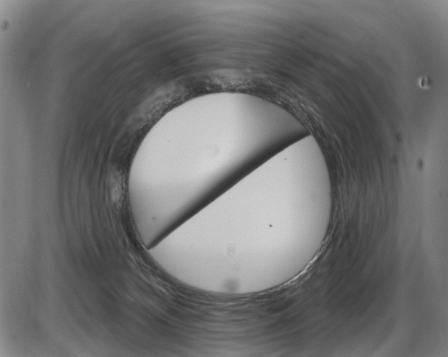X0000086320132200703300915