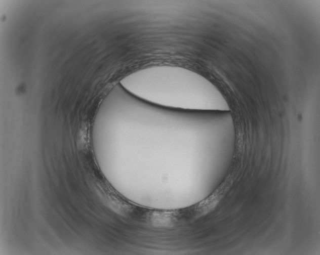 X0000086320134200703300915