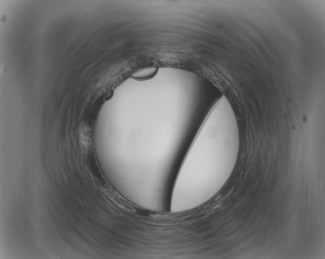 X0000086320135200703300915