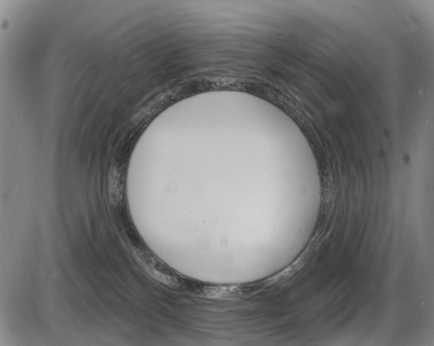 X0000086320136200703300915
