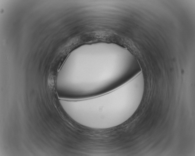 X0000086320137200703300915