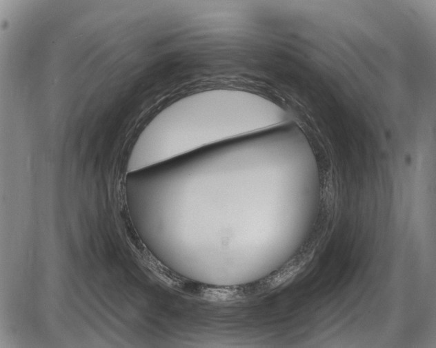 X0000086320139200703300915