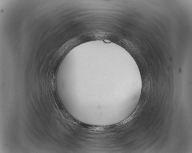 X0000086320140200703300915