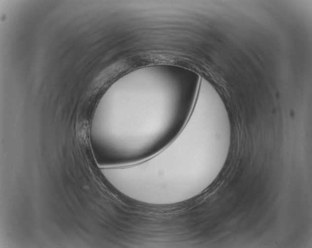 X0000086320141200703300915
