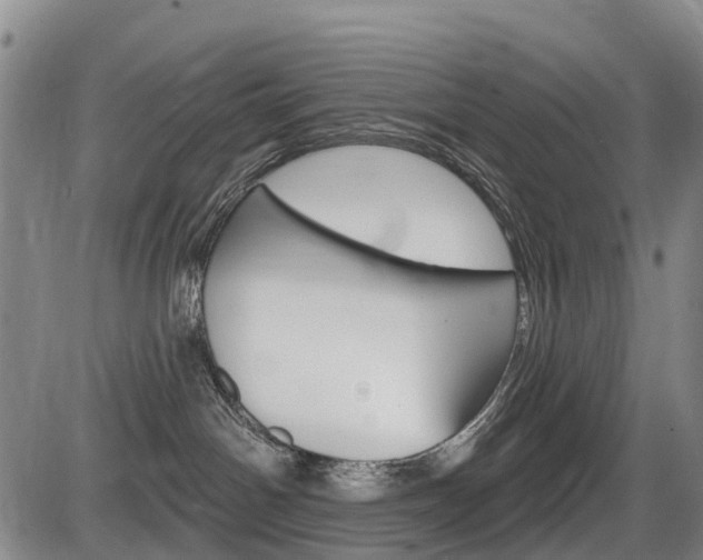 X0000086320142200703300915