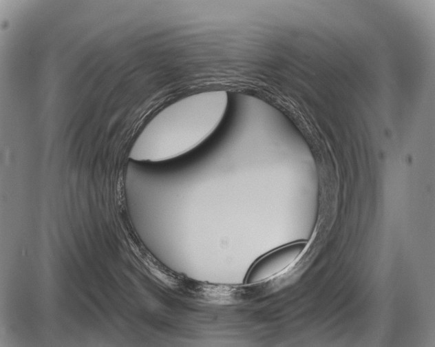 X0000086320144200703300915
