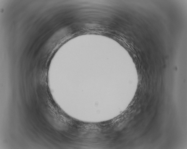 X0000086320146200703300914
