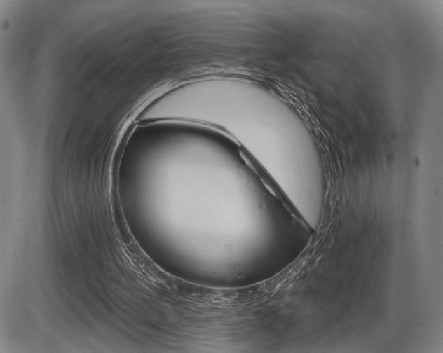X0000086320148200703300914