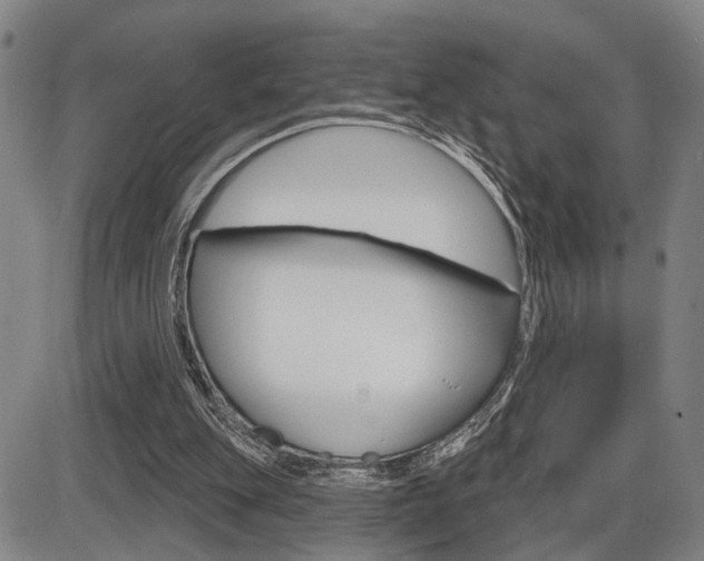 X0000086320151200703300914