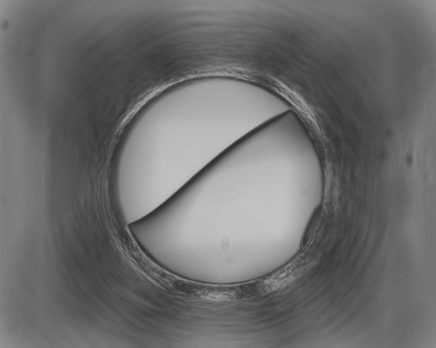 X0000086320155200703300914