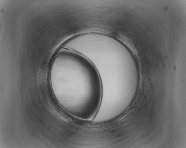X0000086320156200703300914
