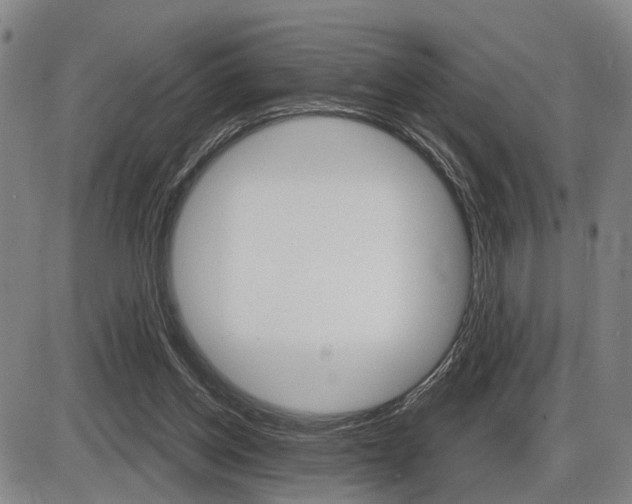 X0000086320158200703300914