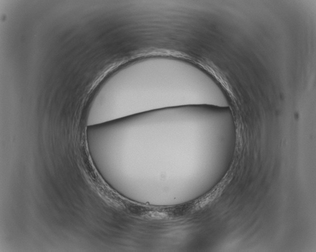 X0000086320159200703300914