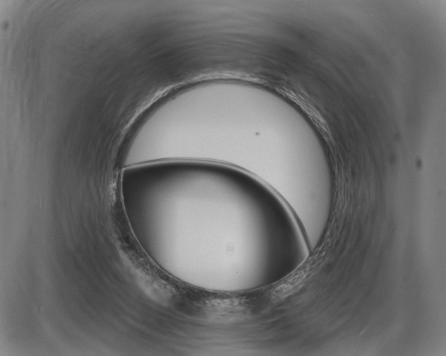 X0000086320160200703300914