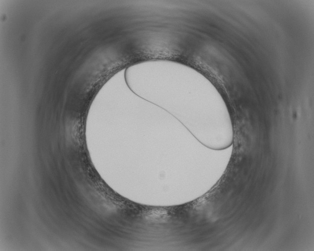 X0000086320162200703300914