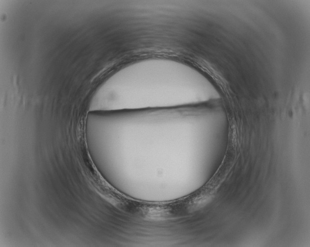 X0000086320165200703300914