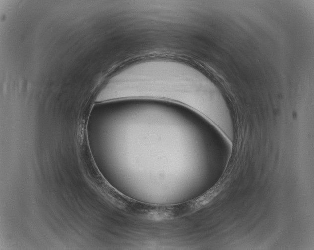X0000086320168200703300914