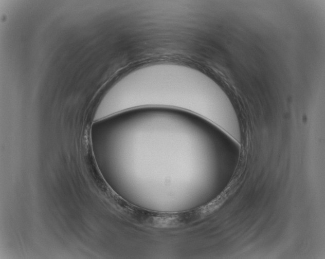 X0000086320172200703300914