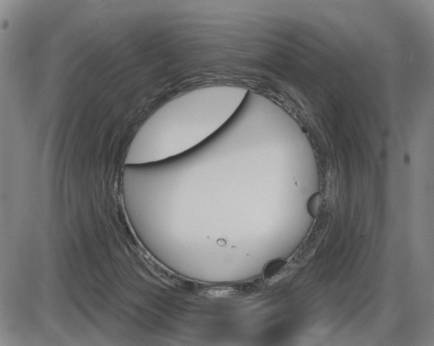 X0000086320173200703300914