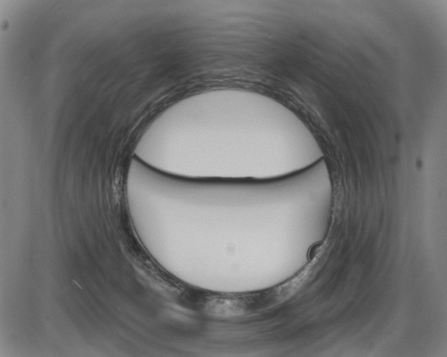X0000086320174200703300914