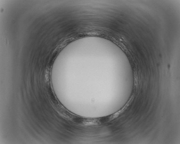 X0000086320175200703300914