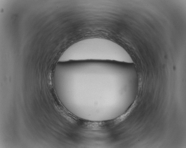 X0000086320182200703300914