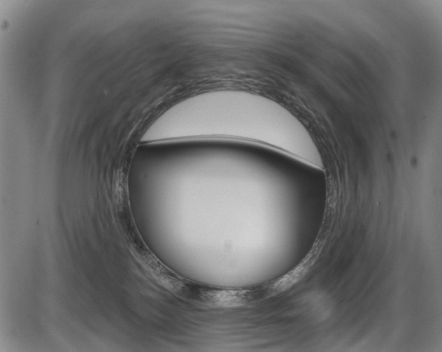X0000086320184200703300914