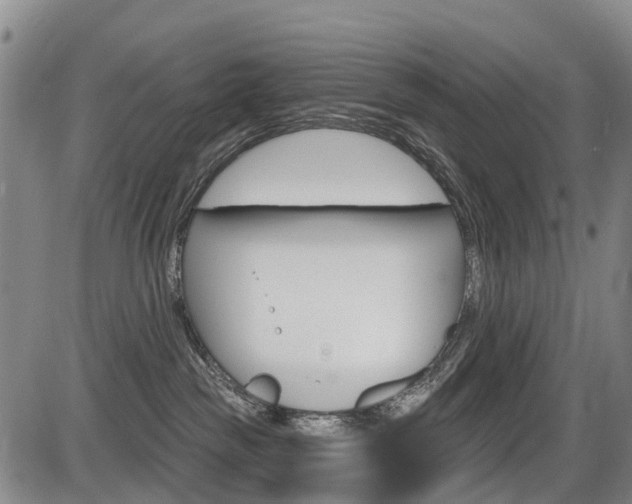 X0000086320189200703300914