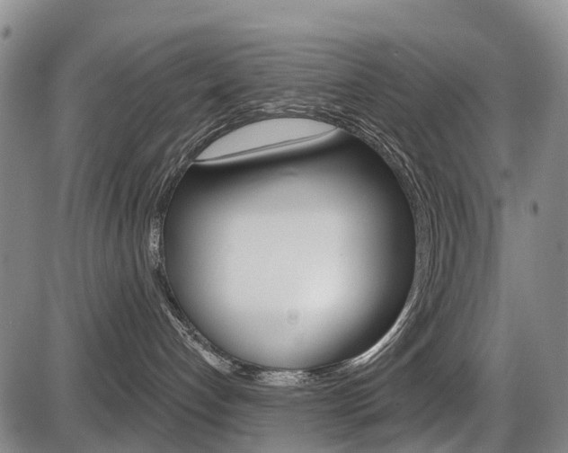 X0000086320192200703300915