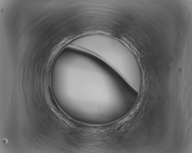 X0000086320193200703300914