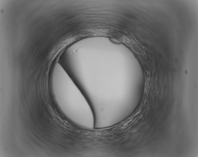 X0000086320194200703300914