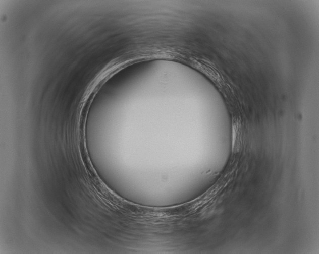 X0000086320195200703300914