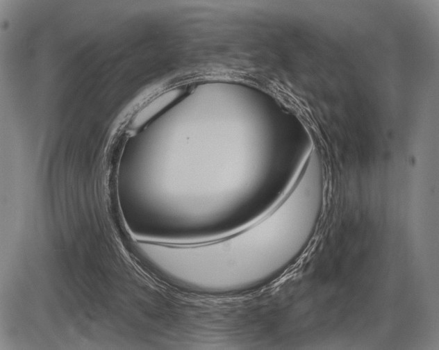 X0000086320197200703300914