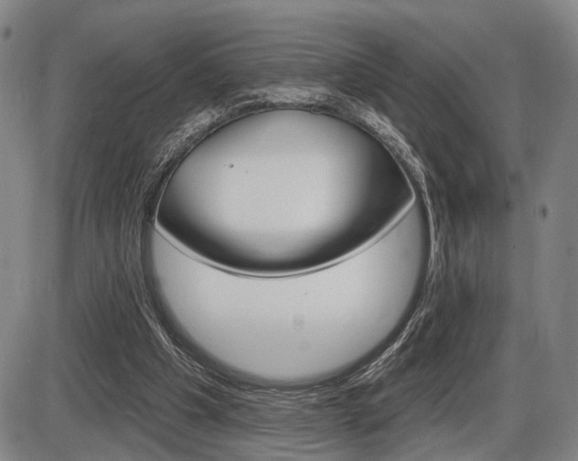 X0000086320201200703300914