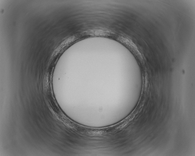 X0000086320202200703300914